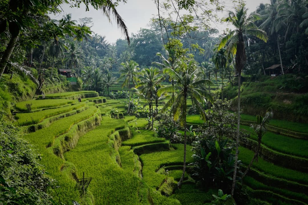 Indonésia