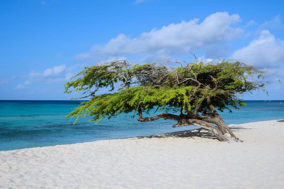Aruba