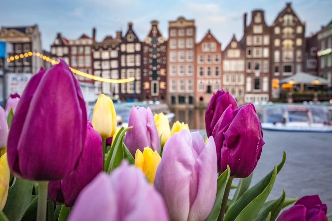 Holanda